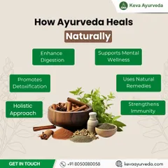 My practice is built on the holistic principles shown here. I focus on enhancing digestion, promoting detoxification, strengthening immunity, and supporting mental wellness using natural remedies to treat the whole person, not just the symptoms.
