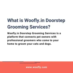 What is Woofly? I am a professional groomer who comes to your home to groom your cats and dogs, providing a convenient and stress-free service.