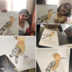 I am so proud of the incredible detail my students achieved in these Hoopoe bird drawings. We focused on pencil coloring and shading techniques to capture the texture of the feathers and the bird's unique features, and the results are just amazing.