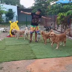 The whole gang is here. Our staff loves getting involved in the fun, encouraging positive interactions between all the dogs in our care.