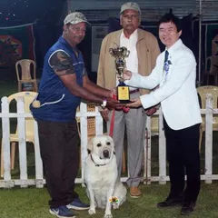 One of our clients receiving a trophy for his Labrador's excellent performance. It's a joy to see the bond and hard work pay off in the competition ring.