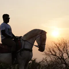There's nothing like a ride during the golden hour. The sunset casts a magical light over our trails, creating the perfect silhouette for stunning photos and peaceful moments.
