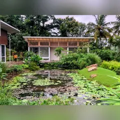 We designed and installed this naturalistic lily pond to be the heart of the property. It serves as a thriving ecosystem that brings the sights and sounds of nature right to the home's edge, creating a truly tranquil atmosphere.