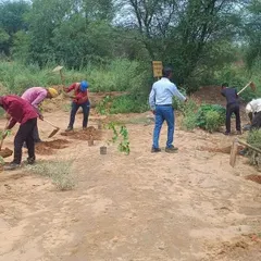 Our team hard at work digging and planting young trees during a mass plantation drive. We believe in giving back to nature through direct action.