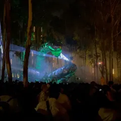 The view from the crowd at Echoes of Earth. The stage production, the forest setting, and the music all come together to create a magical, hypnotic experience.