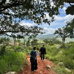 Descending the earthy-red trails of Makalidurga, framed by lush greenery. We guide teams through diverse terrains, ensuring a safe and engaging hiking experience for all fitness levels.