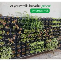 Let your walls breathe. A vertical garden is a fantastic way to add a high-impact green feature without sacrificing floor space, perfect for smaller balconies and patios.