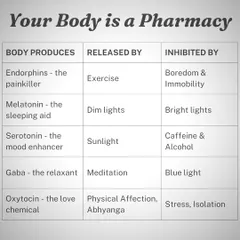 Your body has its own pharmacy. This chart shows how activities like meditation and exercise naturally produce chemicals that help us relax, sleep, and feel good. My workshops help you tap into this innate power.