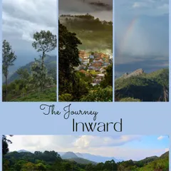 A collage of moments from our Nilgiris retreat, showcasing the stunning natural beauty from misty valleys to vibrant rainbows. This journey inward is an opportunity to immerse yourself in nature while deepening your practice.