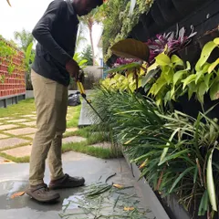 Trimming the grass at the base of a vertical garden is part of our routine maintenance. It’s this attention to every detail that ensures the entire installation looks clean and well-cared-for.