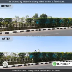 A before-and-after of a hedge pruning job my team completed along NH48. We received an urgent request and our team ensured the overgrown trees were perfectly leveled and shaped within a day, showcasing our efficiency and quality of work.