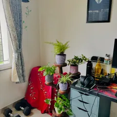 This is what I call a wellness workspace. We added a sustainable coffee stump plant stand to bring a personal, natural touch to this office corner. It's all about creating a space that feels good to work in.