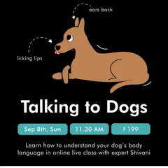 This graphic for my "Talking to Dogs" class illustrates some of the key signals we will learn, like lip licking and ears back. The class even donates 100% of profits to NGOs that help Indie dogs.