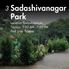 Sadashivanagar Park, though smaller at 5 acres, is a well-maintained and peaceful green space for a morning or evening stroll.