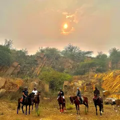 A group of five riders on horseback, silhouetted against the setting sun and the dramatic rock formations of the Aravallis. This image captures the sense of freedom and exploration that our trail rides provide.