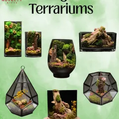 Bring a piece of nature indoors with these zero-maintenance evergreen terrariums. They make a timeless and sustainable gift that stays green forever, perfect for adding a touch of tranquility to any home or office desk.