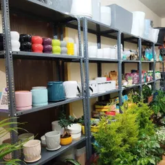 More of my planter collection. From small, colorful pots for your desk to larger ones for floor plants, I have something to fit every plant and every style.