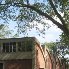 Before the transformation, this was the industrial shed in Okhla. We saw the potential in its strong architectural bones and brick arches, choosing to work with the existing structure as a foundation for a new, environmentally-conscious design.
