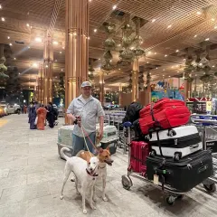 Ready for the big flight to Los Angeles. Here are Liam and Zoe with their owner at the Bangalore airport, along with their luggage and IATA-approved travel crates, all set for their journey to a new life in the USA.