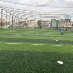 Another angle of our pristine turf pitch, complete with nets and training cones set up for a session.