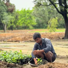 A young man from our local team in Meerut carefully potting a sapling. We invest in training the next generation of environmental stewards.
