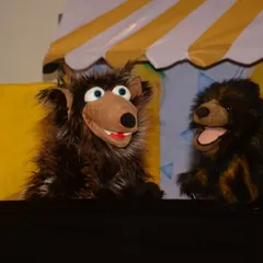 Meet some of my furry co-stars. Each puppet has a distinct personality, and their playful arguments and conversations are a huge part of my shows. They aren't just props; they are the heart of the story.