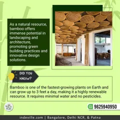 This image highlights the versatility of bamboo in interior design, featuring a ceiling made of woven bamboo mats. It also explains a key fact: bamboo is one of the fastest-growing plants on Earth, making it a highly renewable and eco-friendly resource for building.