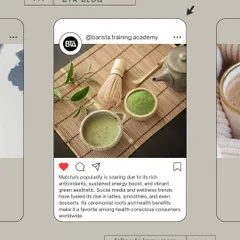 Matcha's popularity is soaring, and we help cafes capitalize on this trend. Its health benefits and aesthetic appeal make it a menu must-have.