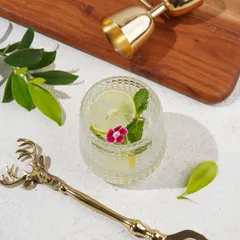 A stunning brass bar set with a deer-head motif, styled with a refreshing drink. This shot blends functionality with artistry, perfect for a home decor brand.