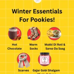 Here are our winter essentials for all the pookies. Along with hot chocolate and warm socks, our Gajar Gobi Shalgam Khata Achaar is a must-have.