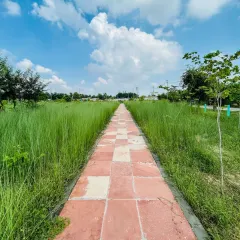 This walkway at Harit Upvan in Greater Noida West used to be surrounded by very little greenery. With support from HCL, we are transforming it into a dense urban forest, letting native grasses and trees reclaim the space.