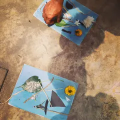 Preparing for a Cyanotype printing session. We use natural objects like leaves and flowers, along with paper cutouts, to create images using only sunlight. It’s a magical process of painting with light and shadow.