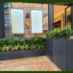 A closer look at the planter beds we installed at the Ethos storefront. We used a mix of upright and spreading plants to create a full, lush effect that softens the hard lines of the entrance and adds a touch of natural beauty.