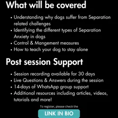 Our separation anxiety workshop covers the different types of separation-related behaviors and provides clear management and training protocols. You'll also get access to the session recording and additional resources to guide you.