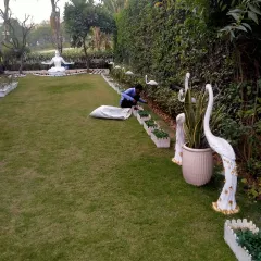 Our team is seen here performing meticulous landscaping work on a large private property. This image reflects our commitment to comprehensive garden and landscape services that complement our vertical wall installations.