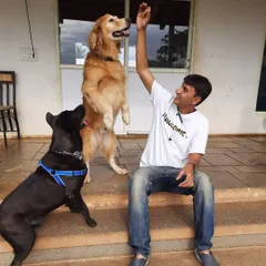 Life is a treat at our boarding facility. Our staff loves spending quality time with the dogs, complete with high fives and cuddles.