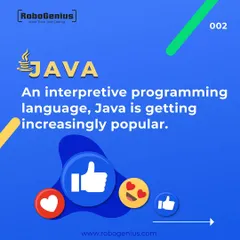 Java is a powerful, object oriented programming language used by major tech companies for building large scale applications. We introduce teens to Java to prepare them for advanced computer science and software engineering concepts.