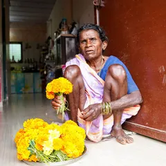 A portrait of an elderly flower seller, tired but resilient. This image tells the story of her day's hard work, sitting with her basket of marigolds, and captures a moment of quiet dignity.