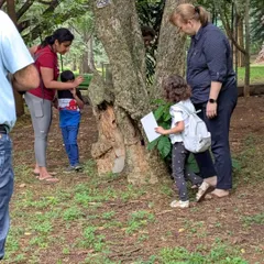 A family explores the textures of a tree trunk, a simple yet profound way to connect with nature. Our walks are full of these small, sensory moments.