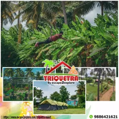 Get a bird's-eye view of the camp as you fly through the trees on our zipline. It's a rush of adrenaline with the best scenery around.