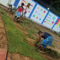 Here is my team at work, carefully laying down sod piece by piece. We work efficiently to bring the garden design to life.