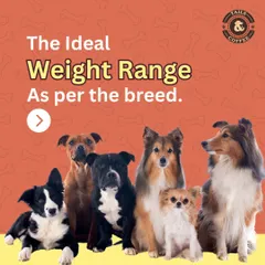 This graphic shows the ideal weight range for different dog breeds. We believe that knowledge is key to responsible pet parenting.
