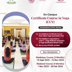 This informational poster outlines the details for my On-Campus Certificate Course in Yoga (CCY). It provides clear information on accreditation, course levels, and upcoming batch schedules for both weekday and weekend options.