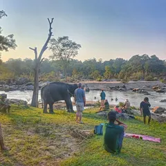 A truly magical moment from our cycling holiday in Kanha National Park. After a day of pedaling through the forest, we get to relax by the river and watch Tara, the resident elephant of Kipling Camp, enjoy her evening bath. It's an experience that connects you deeply with nature.