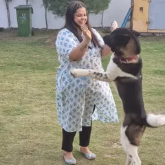 The happiness of the pets in our care is our biggest reward. This photo captures a joyful, spontaneous moment of play between one of our team members and a friendly American Akita in our outdoor park.