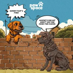 This is the start of a fun travel story. Our relocation services ensure your pet has an exciting tale to tell their neighborhood friends when they return from their trip.
