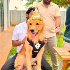 Dressed to impress for his big day! We love making birthday dogs feel like the star of the show with fun outfits, party hats, and all the attention they deserve.