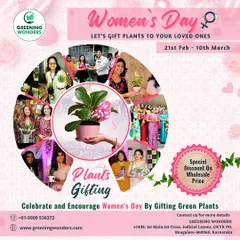 A collage of happy moments from Women's Day celebrations, where our plant gifts were shared. We offer special pricing for bulk orders between February and March.