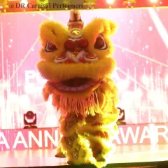 A close up of our yellow Chinese Lion on stage at an anniversary awards show. The intricate details of the costume and the expressive face of the lion are a testament to the quality of our performance.