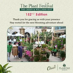 Visitors browsing through the extensive collection of plants. Our layout is designed for easy exploration, allowing you to leisurely discover new additions for your home and garden.
